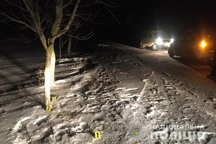 Тернопольская область, сани, ДТП, полиция, юноша