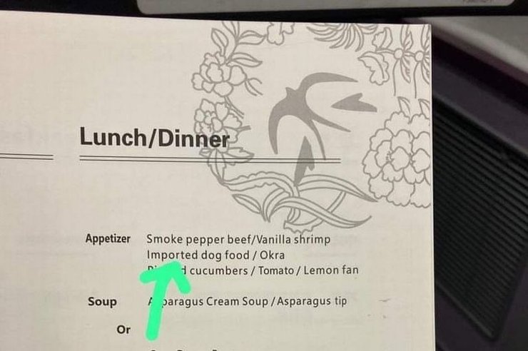 Стюардесса, самолет, бизнес-класс, меню бизнес-класса в самолете, собачья еда, собачий корм, неверный перевод, полет с изюминкой