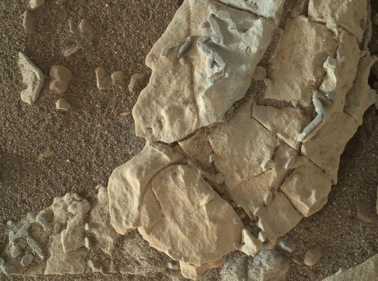 марс, скам'янілості, тварини, марс, дослідження марса, загадкові об'єкти на марсі, NASA марс, марсохід Curiosity