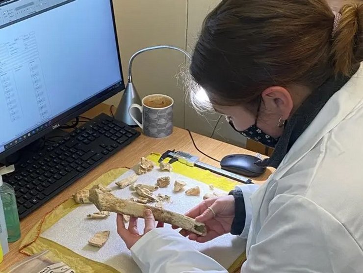 Скелеты, Древний Рим, Великобритания