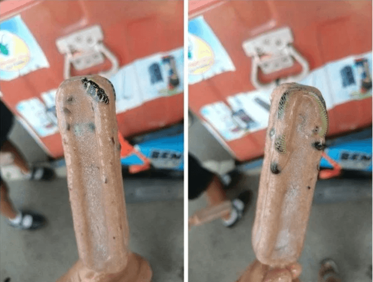 Отруйна змія у морозиві