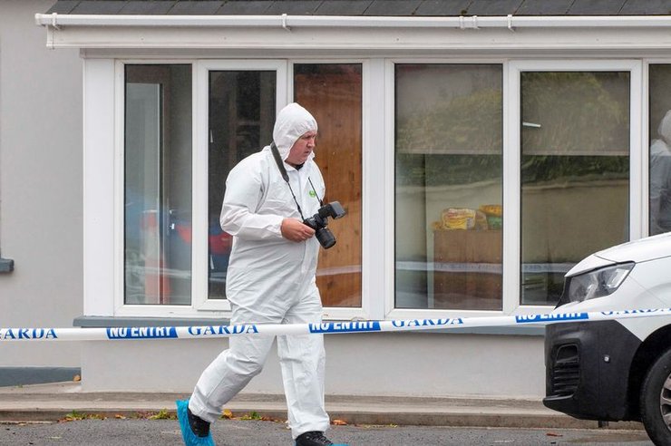 напад на українку, Ірландія, ірландська поліція, ножові поранення, українські біженці