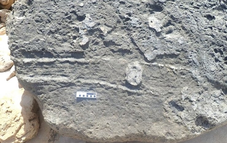 след дамана