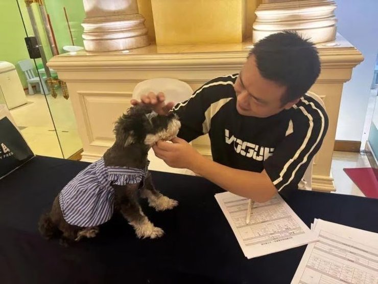 Проверка собак