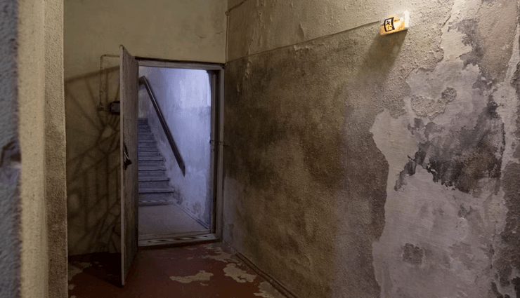 Двері в підвал, замкнені двері, забиті двері, житло, потайна кімната, потайний підвал, загадковий коридор, двері