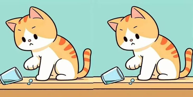 Головоломка, найдите отличия, тренировка зрения, проверка зрения, внимательность, визуальная головоломка, кот, играет со стаканом