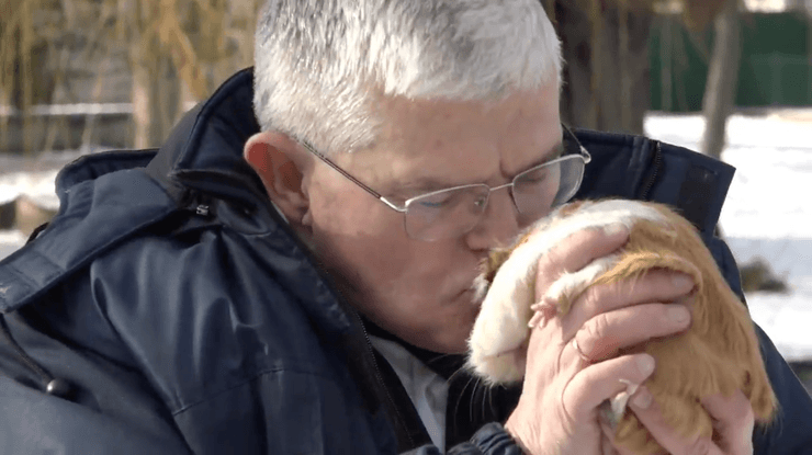 Человек целует морскую свинку