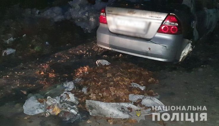 листья возле машины