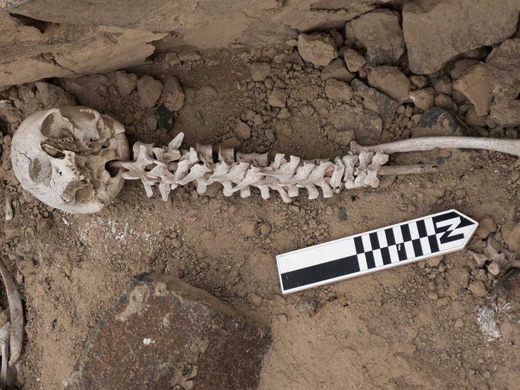 кістки, череп, земля, знімок