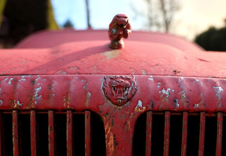 антипірен лос-анджелес рожевий порошок