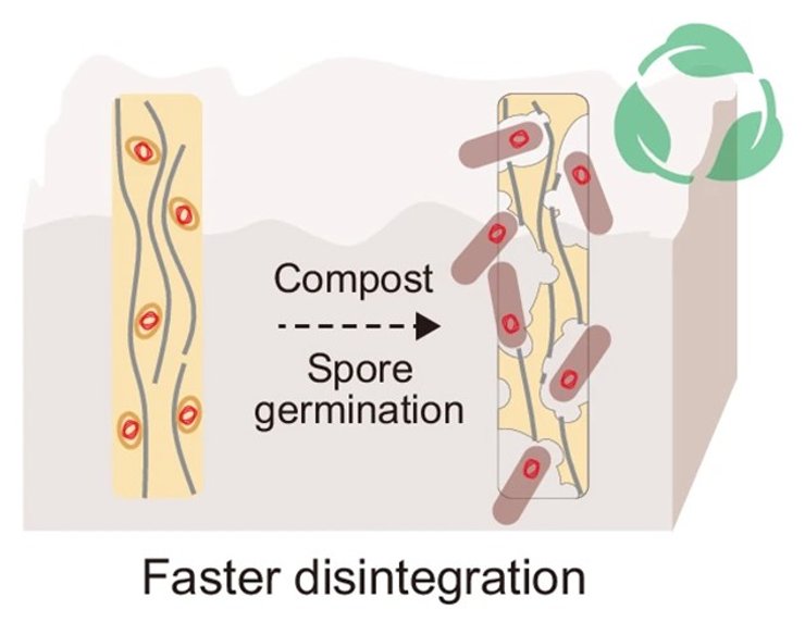 пластик разложение