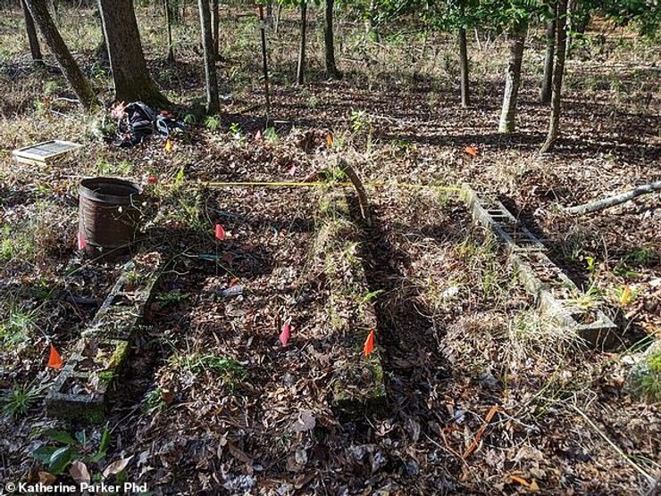 сухой закон, самогонщики, болота, подполье, винокурня