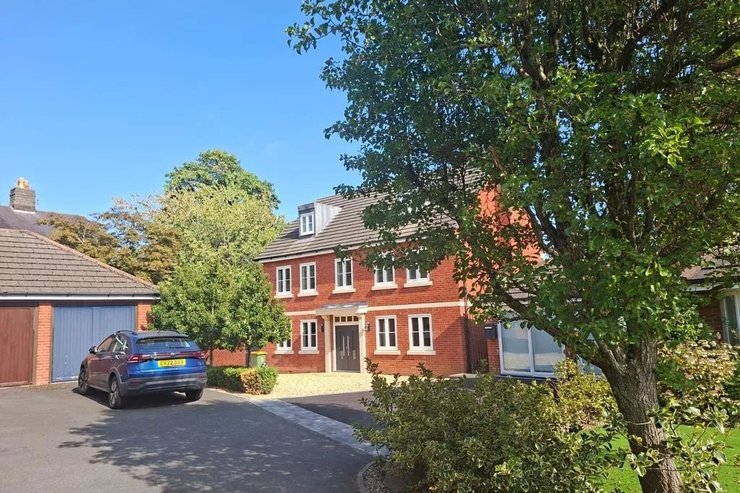 Участок, где более десяти лет специалист по обрезке деревьев срубил липу