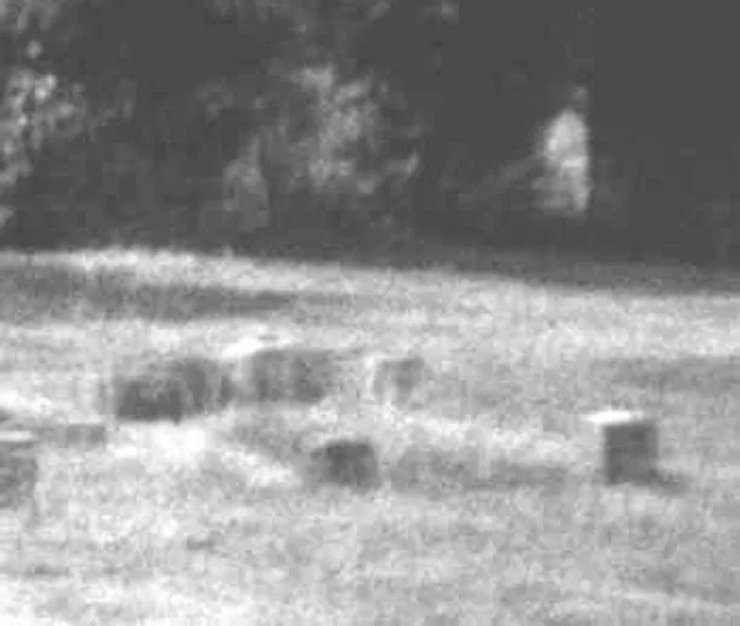 дом борли, коттедж борли, дом с привидениями