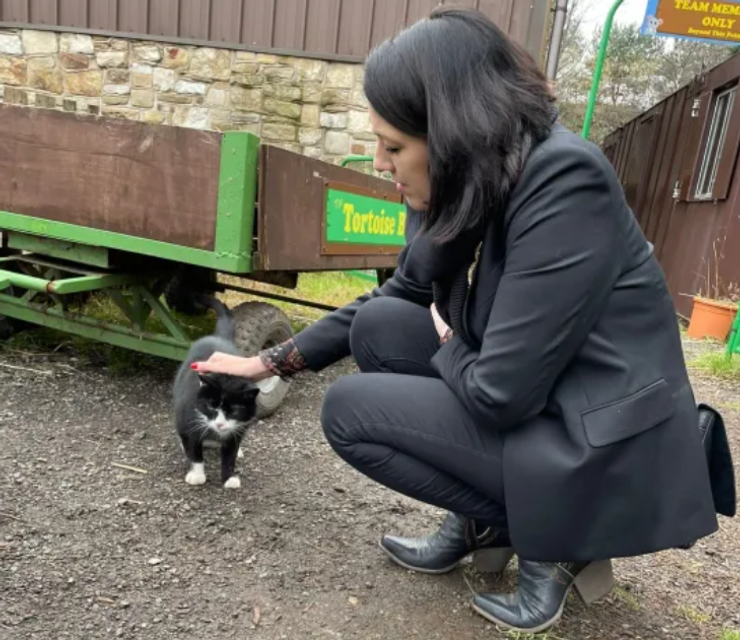 Кота нашли после 9 лет поисков, домашние животные, Люси Уоррингтон, Великобритания, невероятные истории из жизни, фото