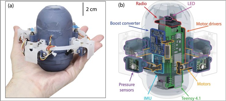 Морський дрон CARL, безпілотник, хвилі, фото