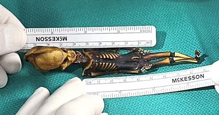 гуманои атакамы