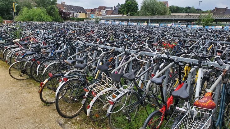 Продукти за копійки, безплатна їжа в Бельгії, як економити на харчуванні, де купувати продукти, лайфхаки