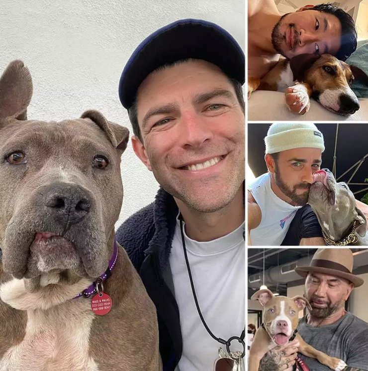 Рейтинг журналу People, фото, Макс Грінфілд