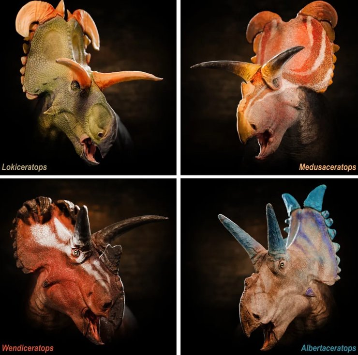 динозавр локіцератопс