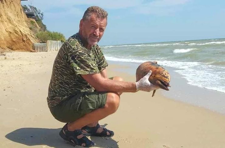 іван русєв, дельфін, загиблий дельфін, білобочка