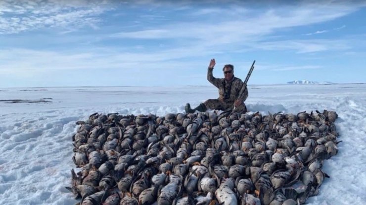 Крамаренко гуси