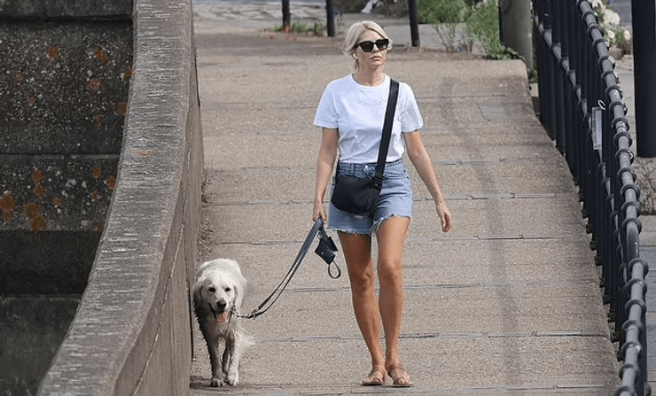 Телеведуча Голлі Віллоубі, Голлі Віллоубі, прогулянка, хотіли викрасти, зірка ТБ.