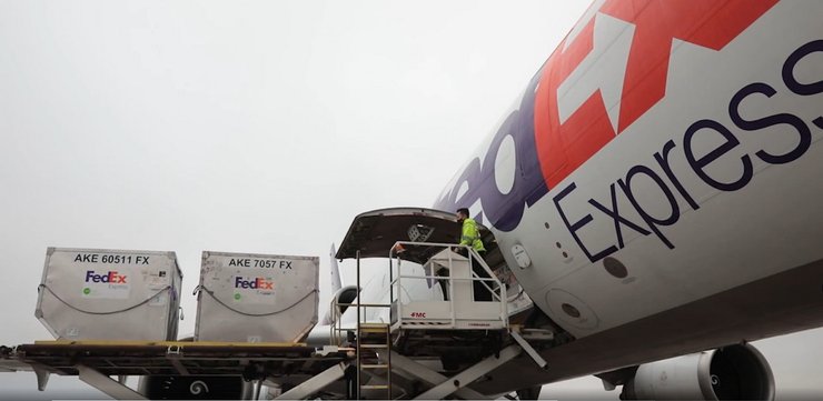 FedEX, Федекс, перевозки, посылки, доставка