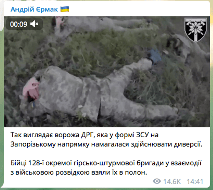 Полон, ДРГ Росії, диверсанти, взяли в полон