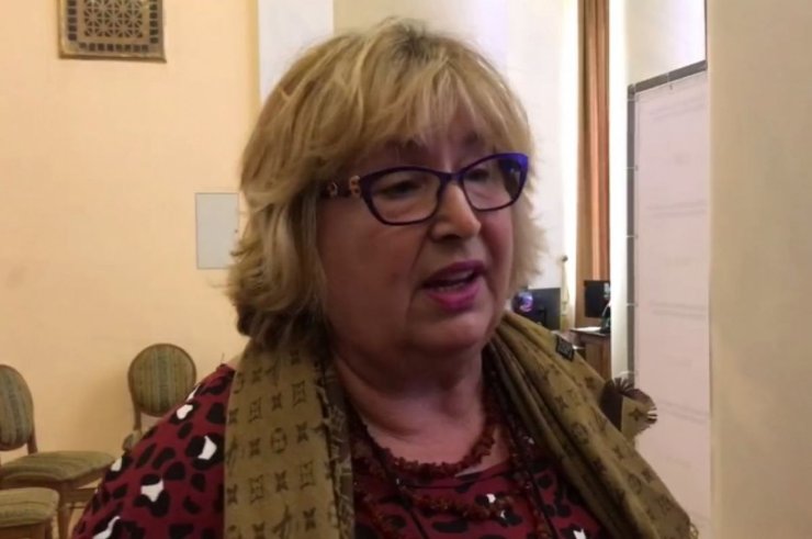 спостерігачі на референдумі, міжнародні спостерігачі, російські агенти, референдум у ЛДНР