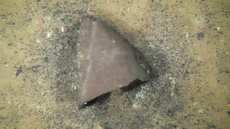 состояние сосуда удивило ученых