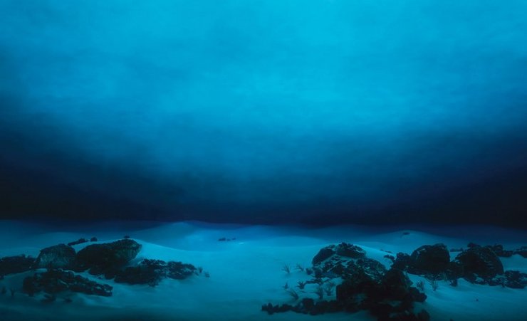 Океан, глубина, на дне океана, вода в океане