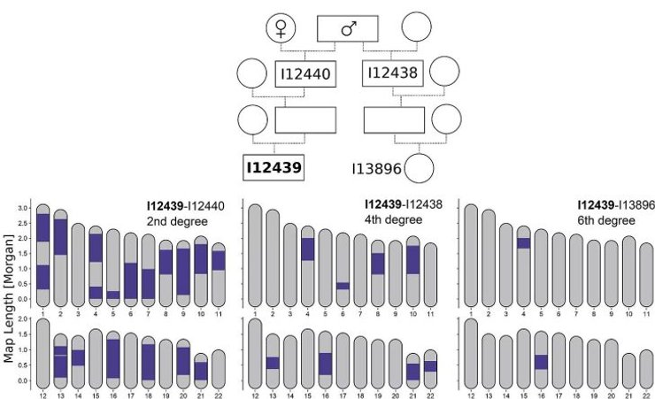 ДНК, аналіз, вчені, наука, дослідження, послідовність, відкриття, генетика, гени, міграція, Україна, Польща, геном, родичі, культура