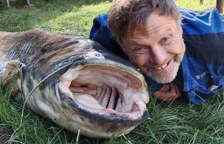 Чоловіки виловили у чеському водосховищі риб дивовижних розмірів, в чому секрет цього озера