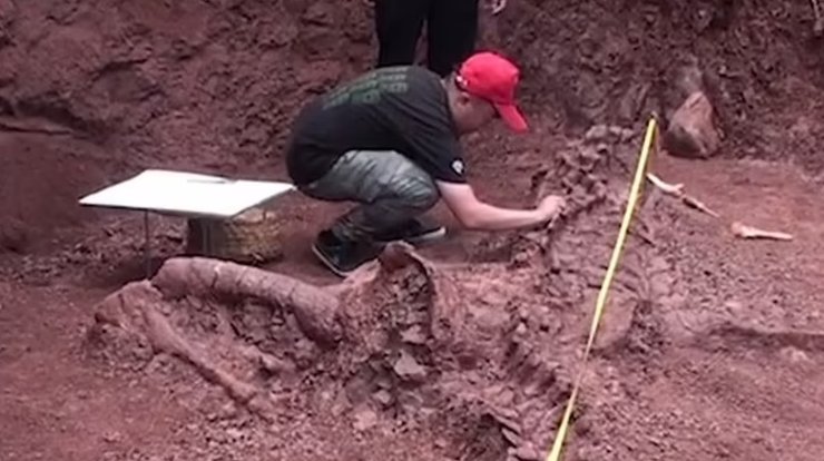 динозавр, розкопки, Китай