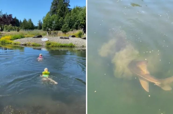 Мать из США, которую зовут Алисия, нашла в пруду осетра, дети, курьезы, находки, приколы, интересные истории