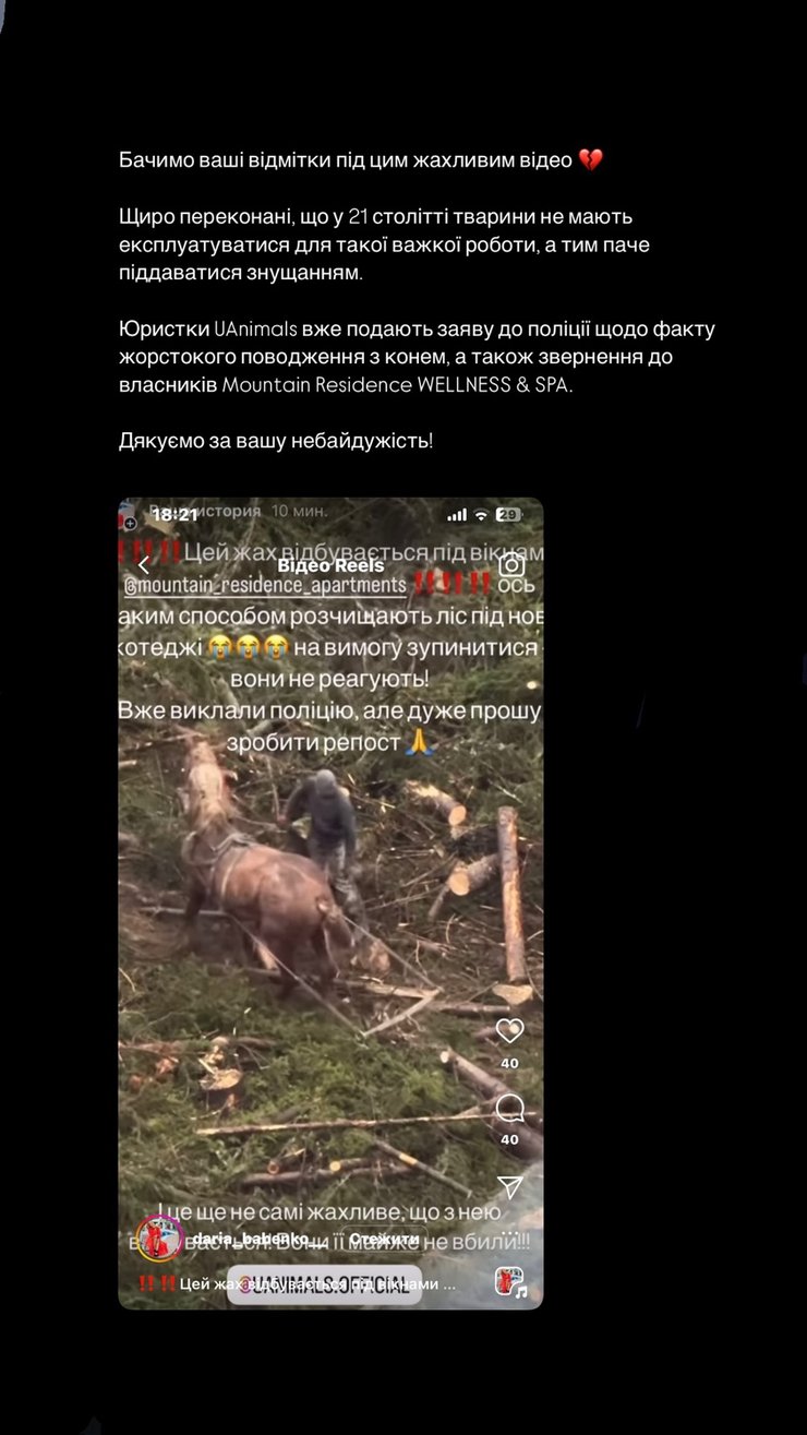 Издевательство над животным, лошадь, Буковель, UAnimals