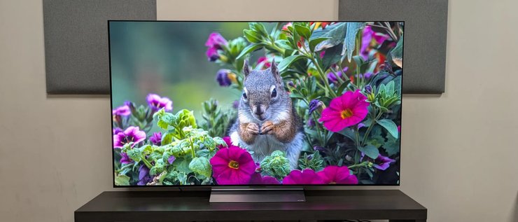Екран телевізора LG C6
