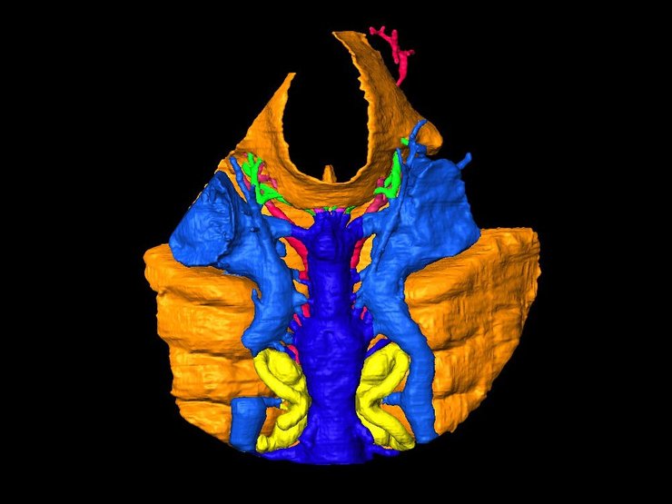 3D реконструкция, Шуюй, фото