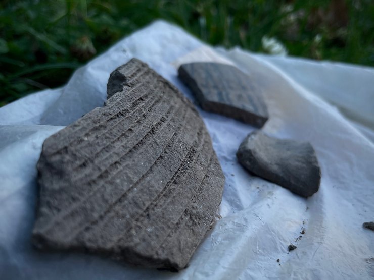 Ивано-Франковская область, Крылос, село Крылос, археология, археологические раскопки, раскопки, история Украины