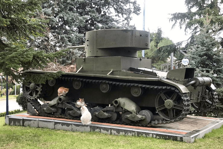 танковый музей в турции, история советских танков, танк, танк ссср, советский танк, танк т-37, танк т-37а, редкий танк, танк-амфибия, танк-амфибия т-37а, танк т-26, т-26