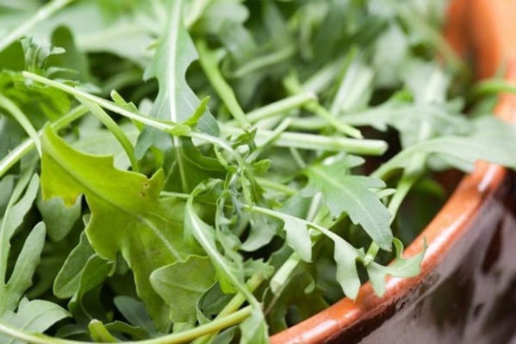 руккола, зелень, антиоксидант