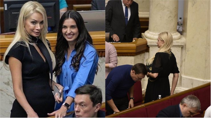 Ирина Аллахвердиева, ошейник, фото, народный депутат, слуга народа