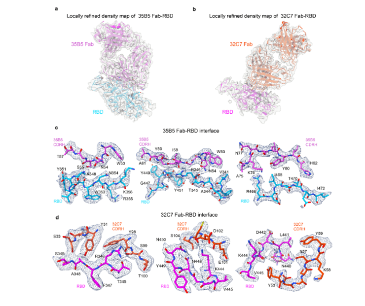 коронавирус вакцина, коронавирус в мире, лекарство от COVID, Китай коронавирус