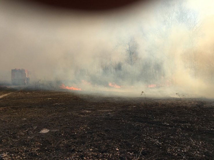 пожар, горит трава