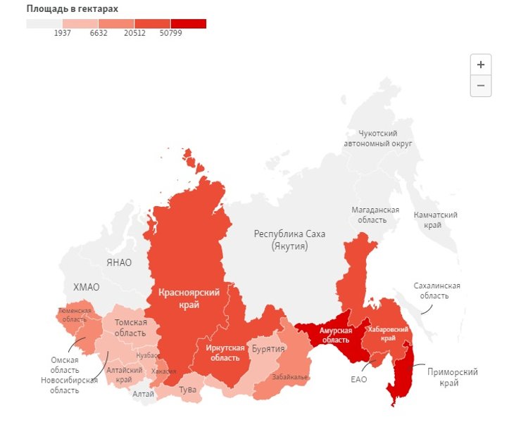 сибір, лісові пожежі, сибір у вогні, пожежі в росії, Красноярськ