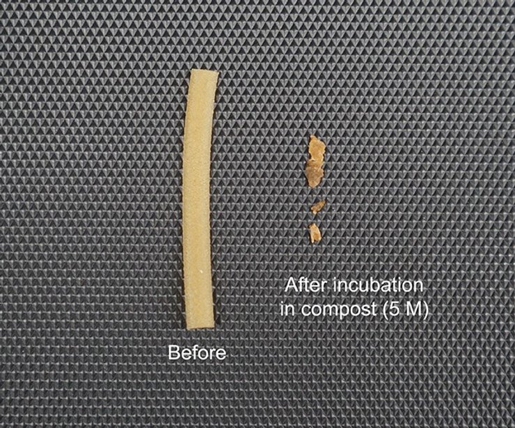 новый пластик разложение