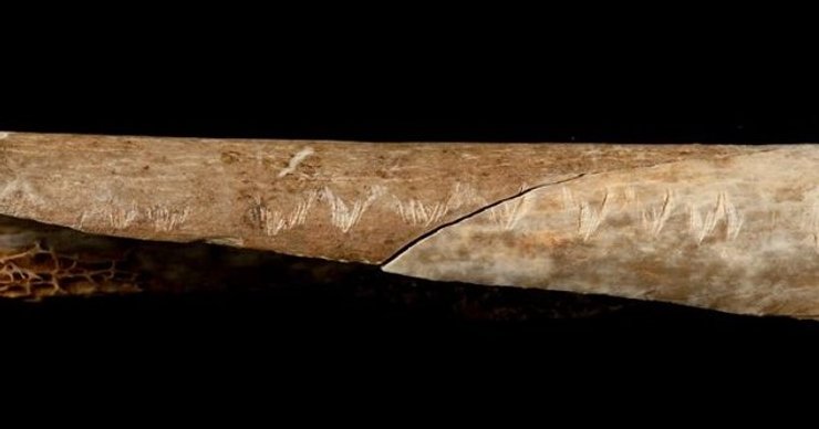 кости следы зубов