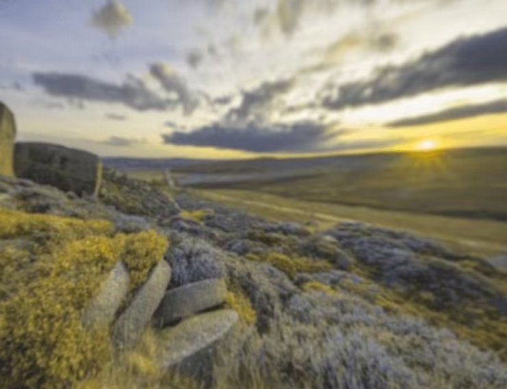 Так бачить національний парк Пік-Дістрикт собака