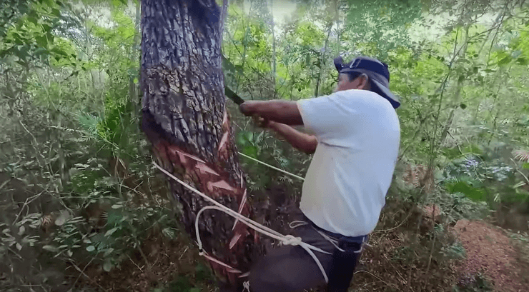Блогер, жевательная резинка, как делают жвачку, жвачка, невкусные ингредиенты, резина, клей для жвачки
